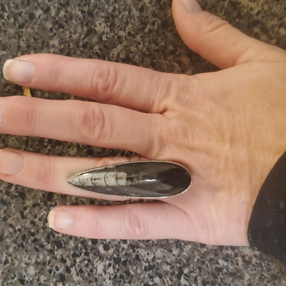 New Huge Orthoceras Fossil 925 Silver Statement Ring. - Picture 8 of 10